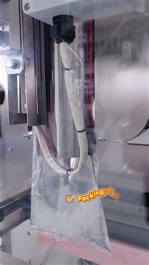 Automatic Liquid Packaging Machine | 1-2L Sauce Export to Canada | AllBloom