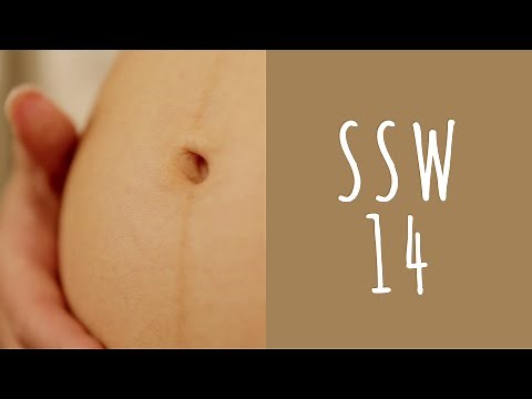 Week 14 of pregnancy / SSW14