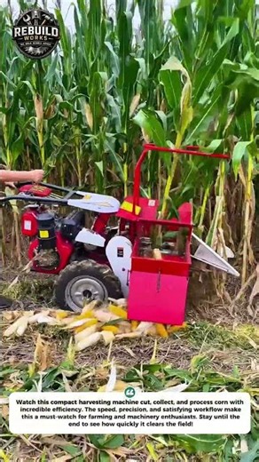 Amazing Corn Harvest Machine