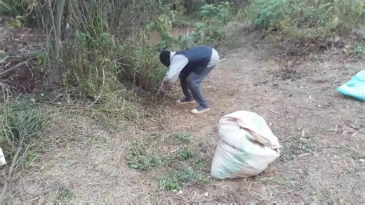 erisa (@erisa7263)’s videos with original sound - erisa