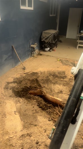 "Many times I am asked about the roots of trees growing close to houses. This is an example of how, unfortunately, a tree can affect the integrity of your foundation. Of course, it will depend a lot on the type of tree in question, how close it is, the environment in which it grows, and other factors. If you have a tree that you believe could affect the integrity of your structure, let me know; there is a complete team of professionals we fully trust who can advise you on what should be done." |