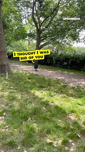 16K views · 197 reactions | A woman recorded the alleged moment when an angry dog started chasing hers. Even though she documented what happened and confronted the other dogs' owner, it seems that things were not as she portrayed them. | The Kiwi | Facebook