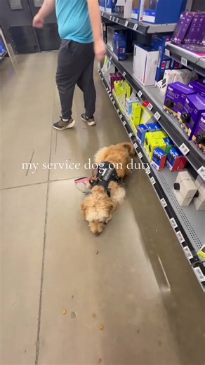 How Service Dogs Help During Panic Attacks