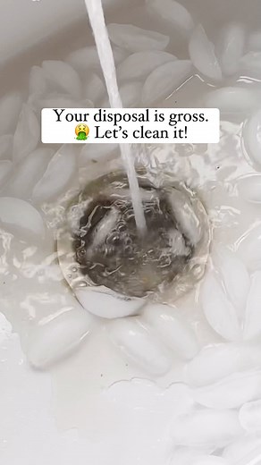 HGTV on Instagram: "Get all the gunk out of your garbage disposal with this easy hack! Watch to the end to learn our special trick for dealing with the smell.    #HGTVHowTo"