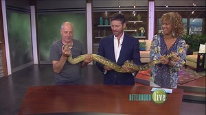 Steve Lattanzi's Wild Creatures Return