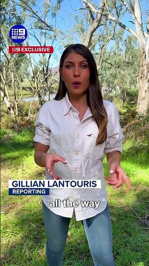 Fresh details on how police tracked Australia's most wanted fugitive down | 9 News Australia