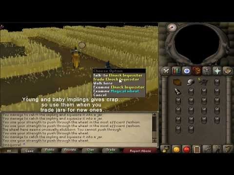 RuneScape 2007 Impetuous Impulses (Puro puro) -Impling minigame