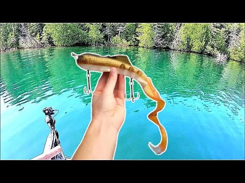 UNBELIEVABLE Clear Water Musky Fishing: Muskie Bay Resort Crow Lake Ontario Canada