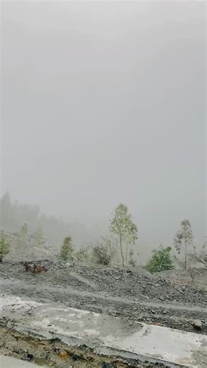 Enjoying the Beauty of Snowfall