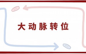 【Osmosis】大动脉转位 Transposition of the Great Arteries（中英字幕）