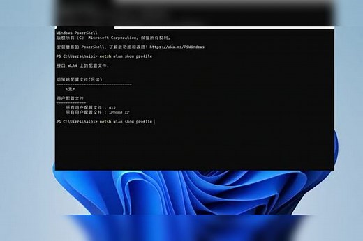 电脑技巧使用一条命令查看电脑密码