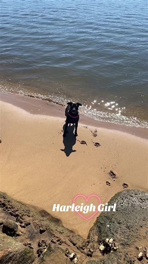 Bearded Postman Pat (@postman.pat261)’s videos with original sound - Everything EDM