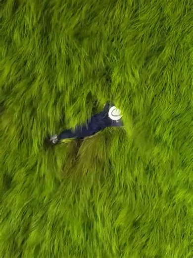 Feel the Peace 🍃 | peace