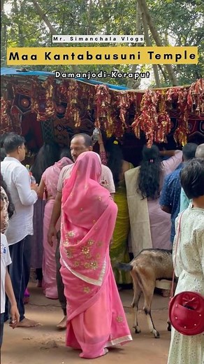 Maa Kantabausuni Temple Damanjodi Koraput #vlog #viral #nature #love