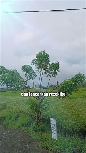 mytime#enjoylife#lifestyle