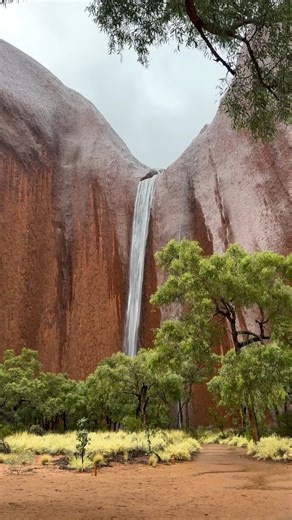 Uluru is truly magnificent in rain, hail or shine ❤️ It's not often that our sacred monolith is drenched in rain, but the lucky few visitors who witness the special event are left in total awe. Head to Visit Central Australia to spend days exploring our Red Centre alongside local Anangu guides - visit local art galleries, trek past neighbouring Kata Tjuta and dine on native ingredients beneath the stars. | 🎥 : IG/lifewithlauraellen and Explore Uluru | 📍: Uluru, Red Centre, Northern Territory –