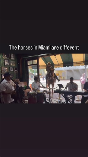 girlmeetsworldproblems | Law, order, and a little salsa break 💃 @ballandchainmia #OnlyInMiami #MiamiVibes #StreetMusic #JustMiamiThings #ViralMoments | Instagram