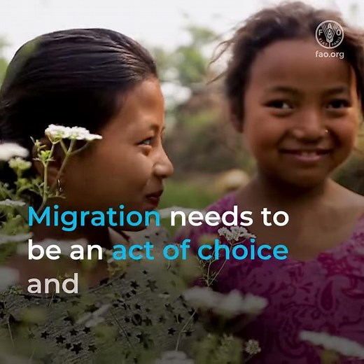 5 things you might not know about migration...