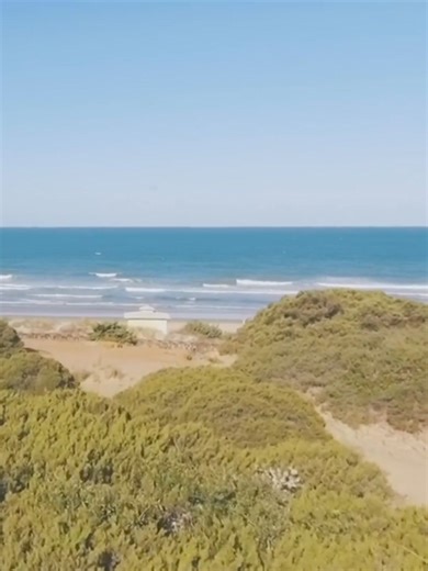 4.5K views · 56 reactions | Hotel Playa La Barrosa, un oasis solo para adultos en primera línea de playa. Ideal para relajarte, disfrutar del spa y los atardeceres más impresionantes de Cádiz. Hotel Playa La Barrosa, an adults-only oasis on the beachfront. Ideal to relax, enjoy the spa and the most impressive sunsets in Cádiz. #onlyinhipotels #hipotelsplayalabarrosa #relax #sunsets #cadiz | Hipotels Hotels & Resorts | Facebook