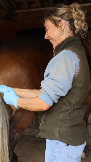 Because your horse deserves more than just a quick once-over willy wash 👋🏼🧼 I take the time to ensure every gelding gets a thorough, gentle, and professional sheath clean - while also checking for any signs of discomfort, swelling, or hidden issues that could affect their health and wellbeing With my experience, patience and calm approach, I make the process as stress-free as possible for both horse and owner. It’s not just about cleaning - it’s about care, comfort, and prevention 🧼🫘✅🐴 Dro