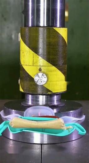 Lunch Box Burst #planetflow #shorts