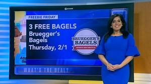 Freebie Friday: free doughnuts, free bagels, free luge lessons.