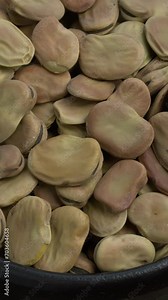Close-up view of whole dry Fava Bean (Vicia faba) in bowl. Table spin. Vertical video.