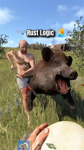 He Brought A Boar…