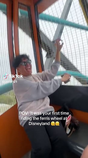 It was a fun experience tho!! 🫶🤩(never again😭😂) #disneyland #disneylandferriswheel #fyp #foryou