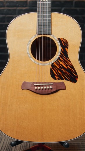 Here is more from our Gold Label 517e and 717e video, where we go over some of the specs of the 517e, and what makes this unqiue from Taylor Guitars Full video on our YouTube ▶️ | Haggerty's Music