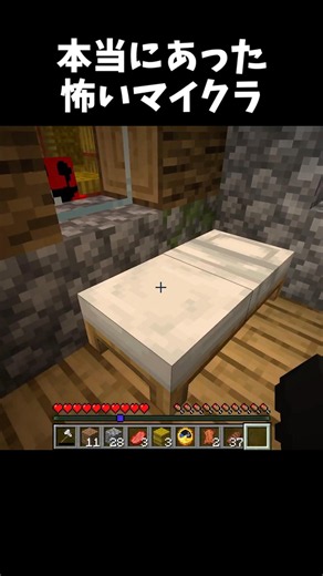 何かが、、、【Minecraft/マイクラ】本当にあった怖いマイクラ2
