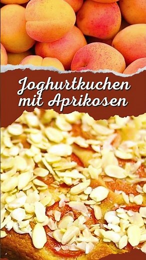 Marillenkuchen: Joghurtkuchen mit Aprikosen Rezept