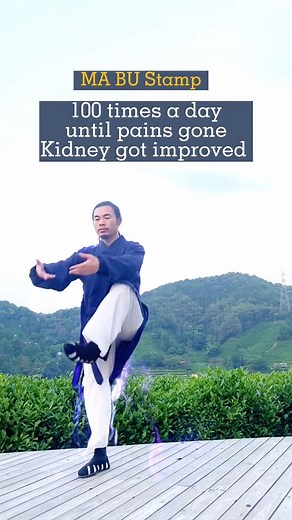 1.3M views · 89K reactions | Looking forward to hearing your feelings.#taichi #wudangkungfu #kidney #sportsdirectreprace #chineseculture #fyp | Taichi Guide | Facebook