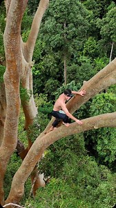6.5K views · 53K reactions | Primal climbing 轢 82m high giant tree ! It was bestial What an amazing experience, thanks @leo.urban & @tarzan_movement 卵亂 | Titouan Leduc | Facebook