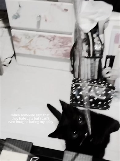 who in the right minds can someone hate cats i could never hate my tails - main @layla.luv #adorable #kitten #blackcat #cute #viral