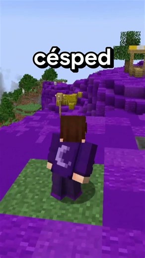 tocar el color morado en Minecraft es ilegal