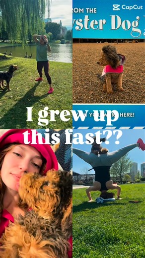 2025 recap: I started as a tiny potato. Now I’m a teenage athlete with opinions. If you need me, I’ll be causing harmless chaos. | bordoodle puppy to teen | #puppygrowth #dogreels #dogsofinstagram #dogtricks #servicedogintraining | Paisley Dog Gear & Training