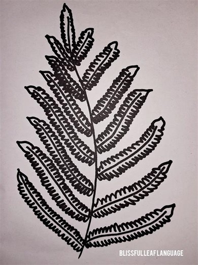 Beginner’s Guide - Fern Leaf Sketch Made Simple 🌿