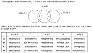 The diagram shows three circles, 1, 3 and 5, and the shared str... | Filo