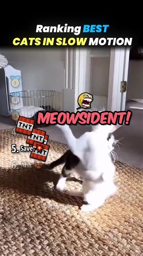 Best Cats in Slow Motion: Top Ranked Viral Slow-Mo Cat Moments