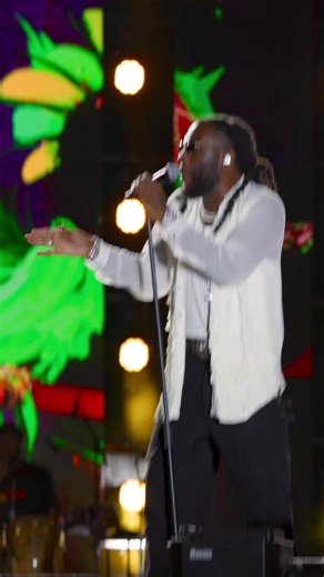 Experience the Passion of Burna Boy Concert