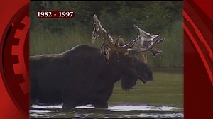 5K views · 130 reactions | In 1997 Mike Barnicle wrote this video...