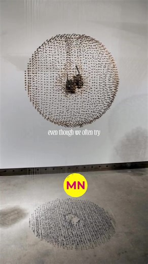 Claire Morgan is a Northern Ireland-born artist known for her intricate installations and sculptures that often feature suspended taxidermy animals, organic materials, and meticulous arrangements of natural elements like seeds, leaves, or insects. Her work explores the fragile tension between life and death, order and chaos, often evoking themes of environmental decay, mortality, and the human impact on nature. Drawing inspiration from the natural world and personal experiences, Morgan’s practic