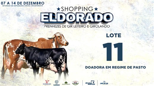 LOTE 11 - KCA 2637 C.A PALMIRA