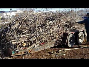 unloading brush from a trailer the easy way