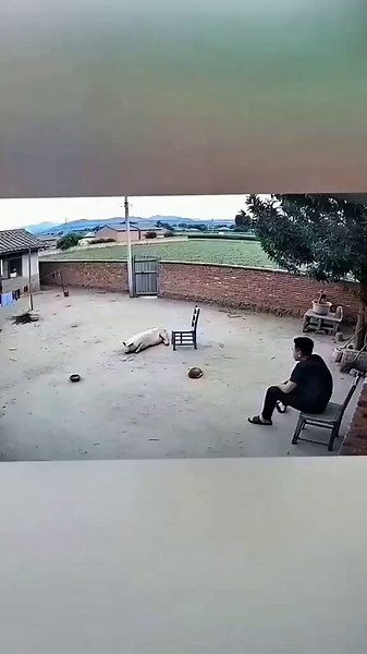 when i was child, i used to think lightning was just a flash in the sky until i heard about a man who took shelter under a tree during a storm. the lightning struck the tree, exploded it from the inside and the current traveled through the ground. & he never made it home 💔 bro lightning is so powerful that it can literally explode the moisture inside a tree causing the trunk to burst apart like a bomb. a direct strike can heat the air around it in a fraction of a sec, instantly cooking tissue, 