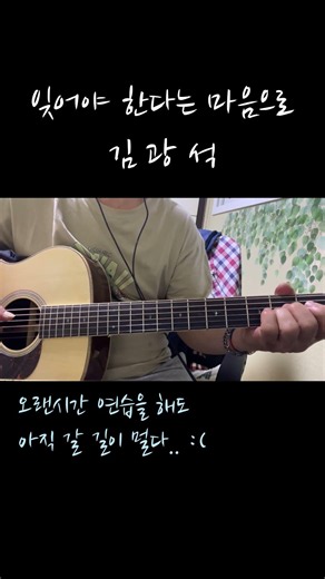 잊어야 한다는 마음으로 - 김광석 (연습중) [어쿠스틱 기타 제 2 도전기] #페르시안고양이 #고양이 #기타연습