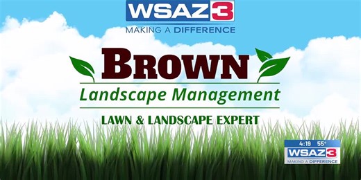 Lawncare tips with Brown Landscape Management