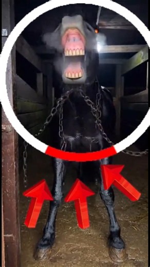 TOP 3 ANIMAIS MAIS PERIGOSOS DO MUNDO! O ÚLTIMO É INVENCÍVEL . #viral #curiosidades #fypシ