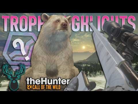 HUGE Albino Bear And Other Insane Rares And Diamonds From Multiplayer | Trophy Highlights | Cotw